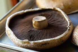 Image result for mushroom portobello